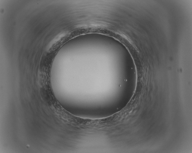 X0000074310967200609011508