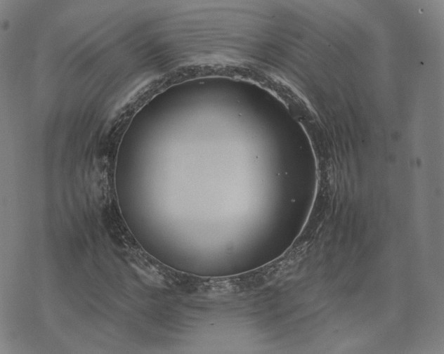 X0000074310968200609011508