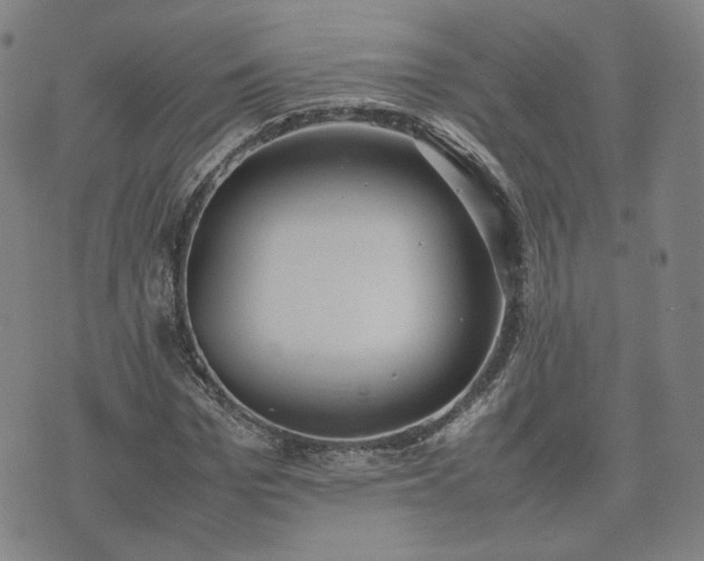 X0000074310969200609011508