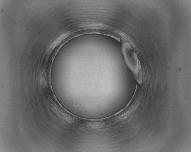 X0000074310970200609011508