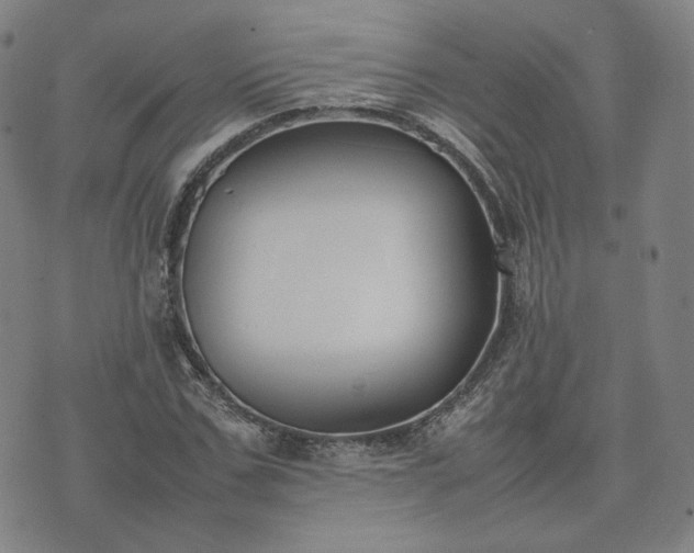 X0000074310971200609011508