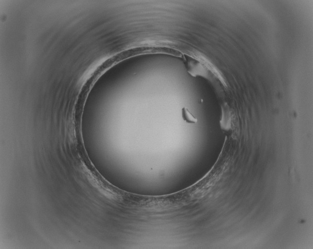 X0000074310972200609011508