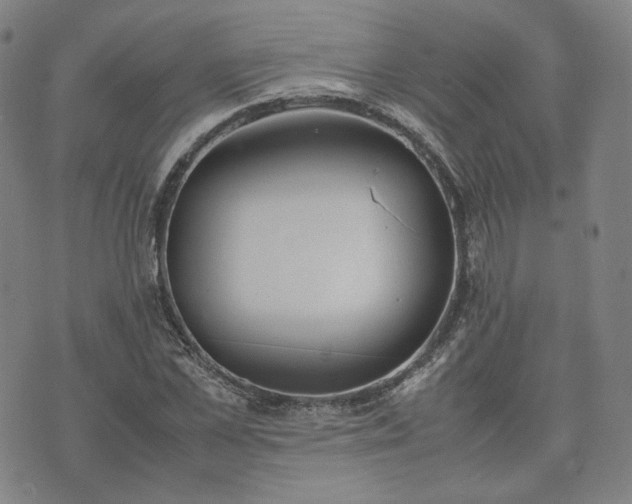 X0000074310973200609011508