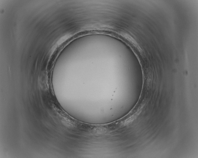 X0000074310974200609011508