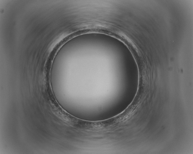 X0000074310975200609011508