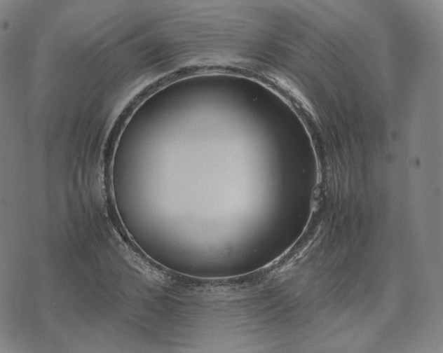 X0000074310976200609011508