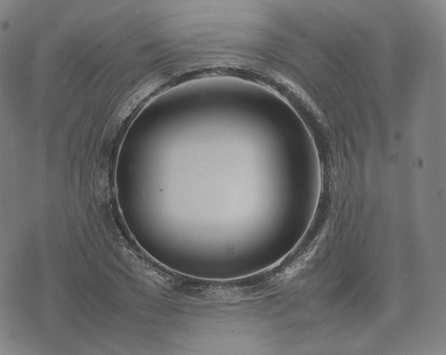 X0000074310977200609011508