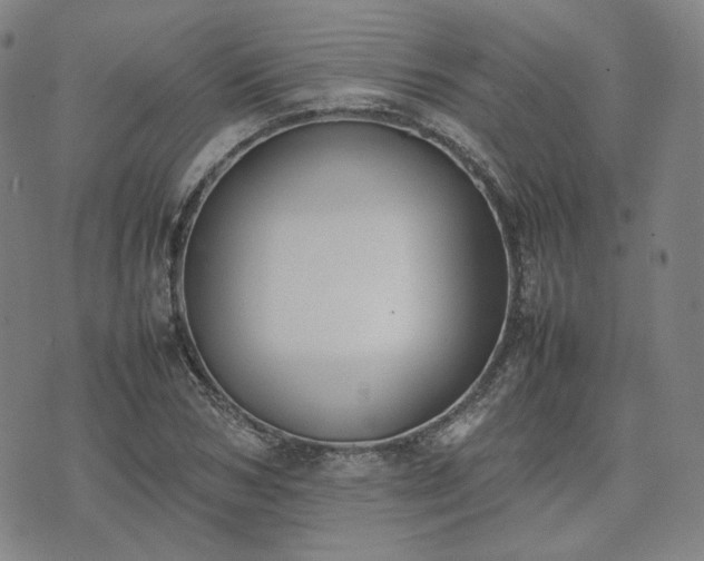 X0000074310978200609011508