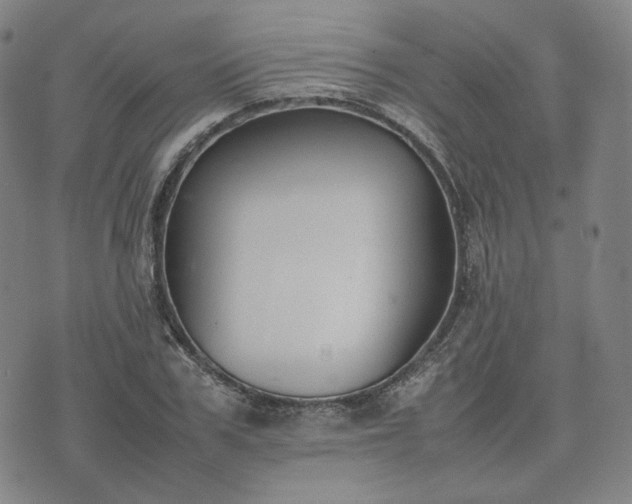 X0000074310979200609011508