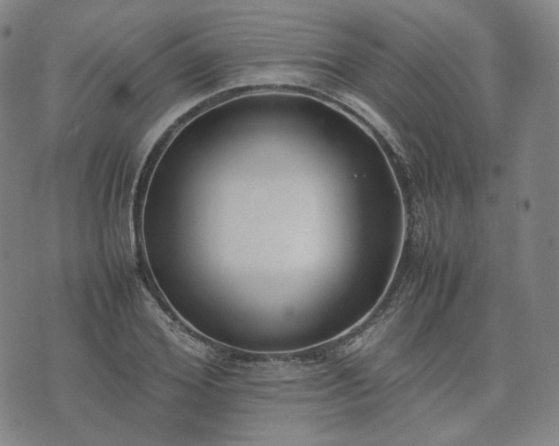 X0000074310980200609011508