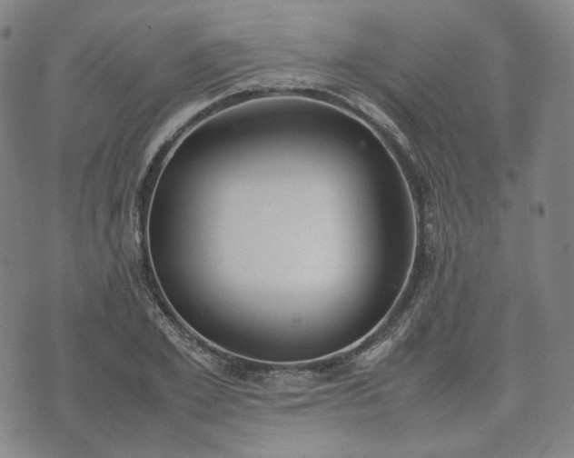 X0000074310981200609011508