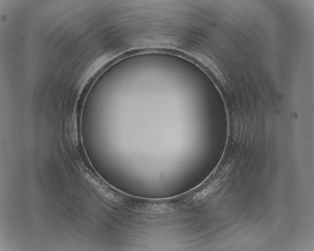 X0000074310982200609011508