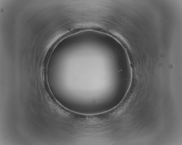 X0000074310983200609011508