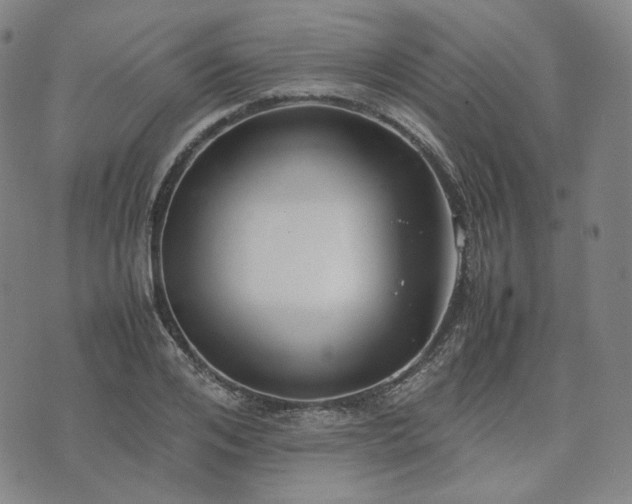 X0000074310984200609011508