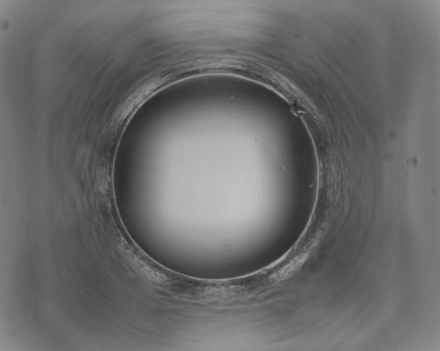 X0000074310985200609011508