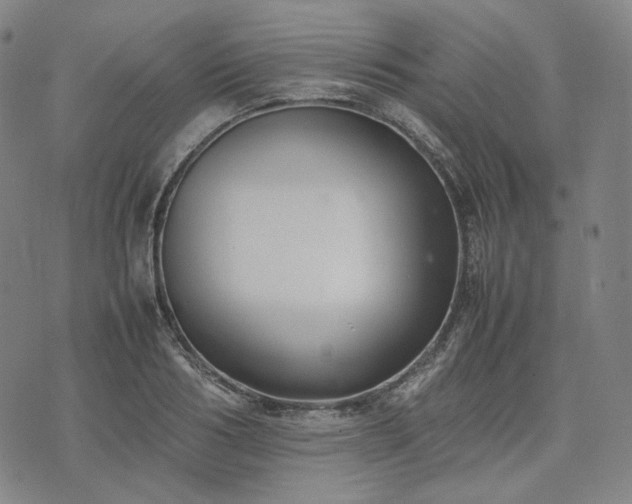 X0000074310986200609011508