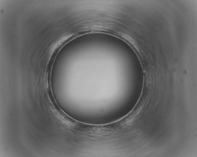 X0000074310987200609011508