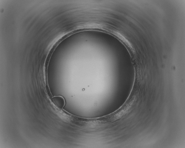 X0000074310988200609011508