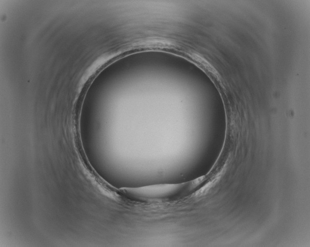 X0000074310989200609011508