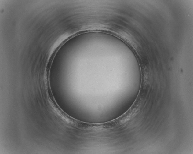 X0000074310990200609011508