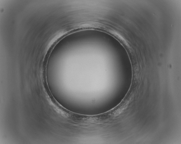 X0000074310991200609011508