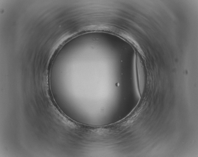 X0000074310992200609011508