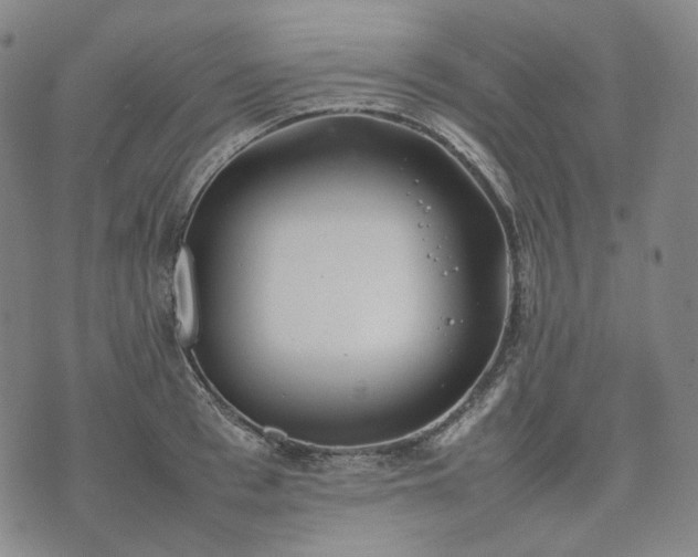 X0000074310993200609011508