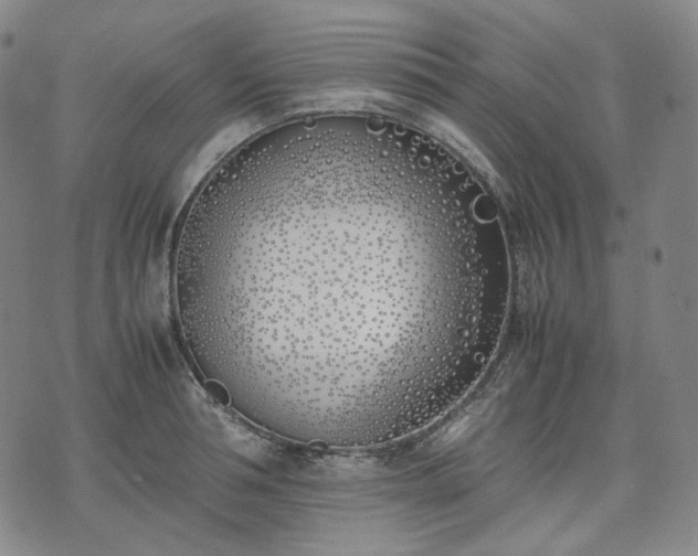 X0000074310994200609011508