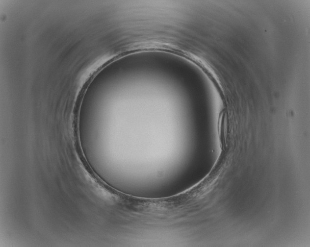 X0000074310995200609011508