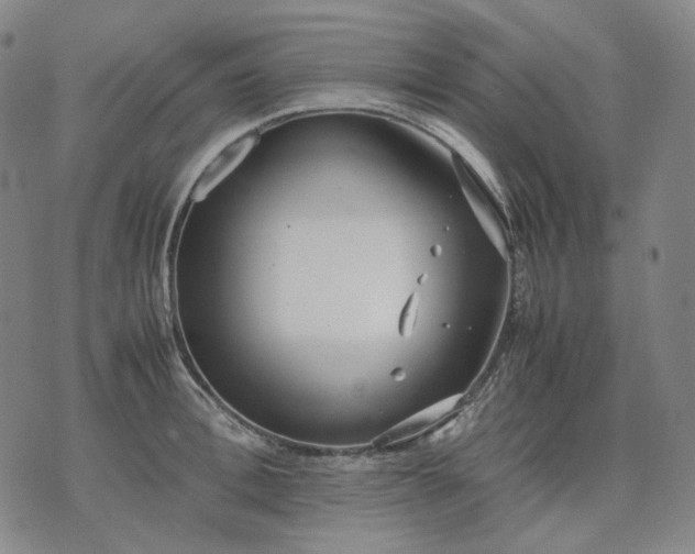 X0000074310996200609011508