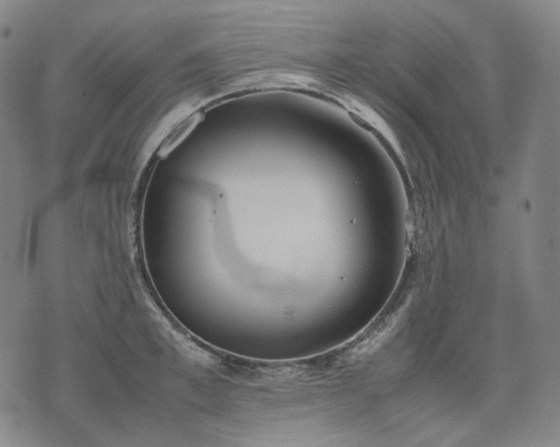 X0000074310997200609011508