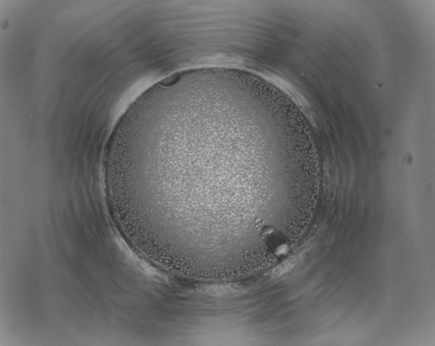 X0000074310998200609011508