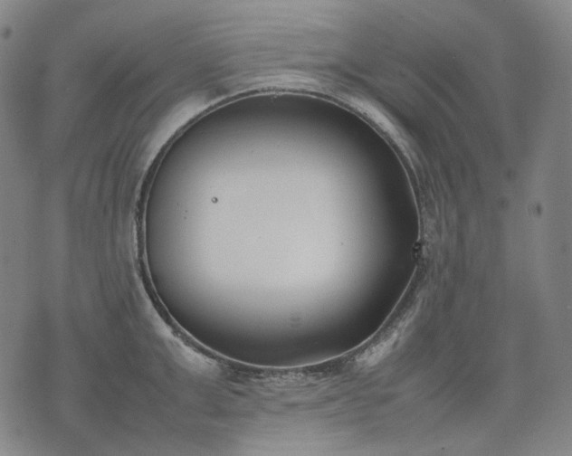 X0000074310999200609011508