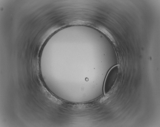 X0000074311000200609011508