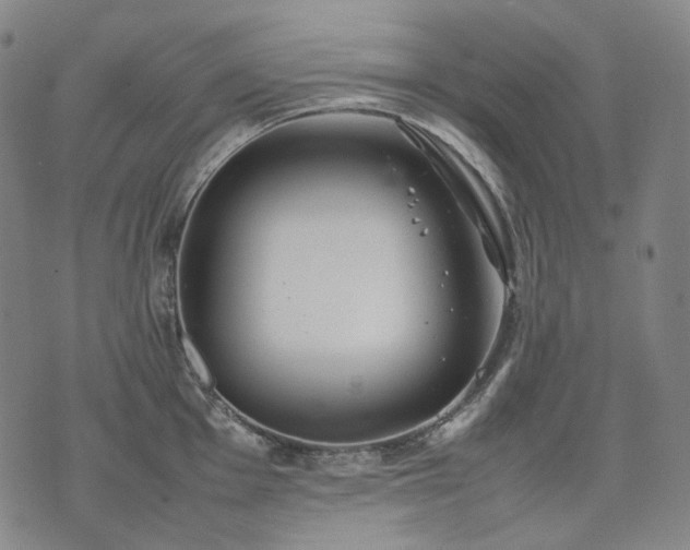 X0000074311001200609011508