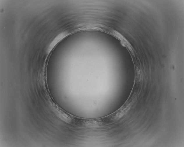 X0000074311002200609011508