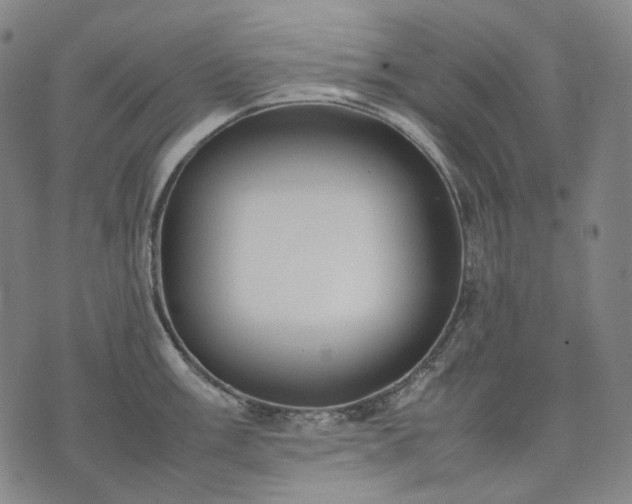 X0000074311003200609011507