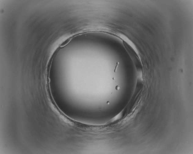 X0000074311005200609011507