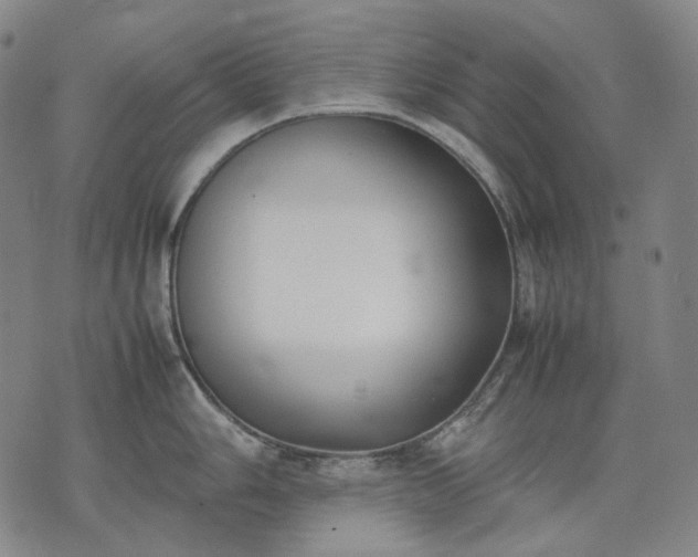 X0000074311006200609011507