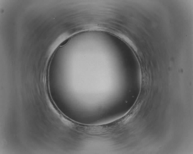 X0000074311007200609011507