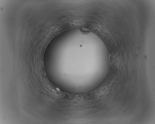 X0000074311009200609011507