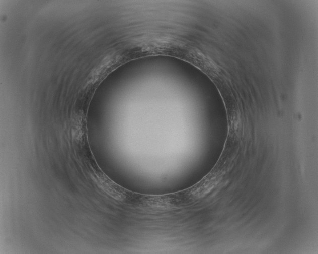 X0000074311012200609011507