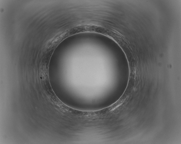 X0000074311014200609011507