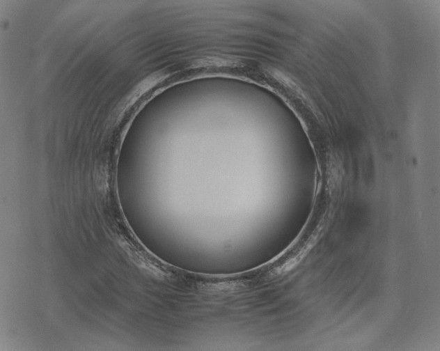 X0000074311017200609011507