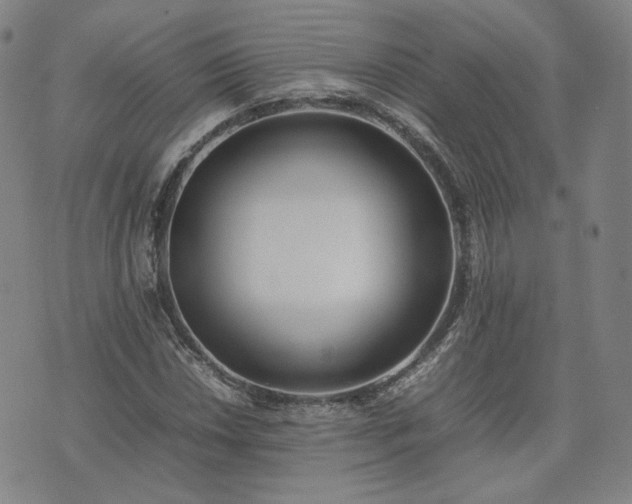 X0000074311018200609011507