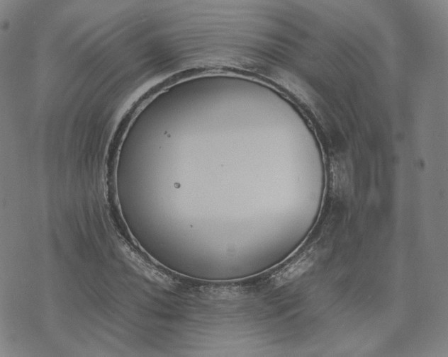 X0000074311020200609011507