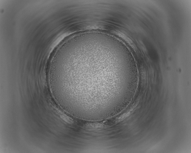 X0000074311023200609011507