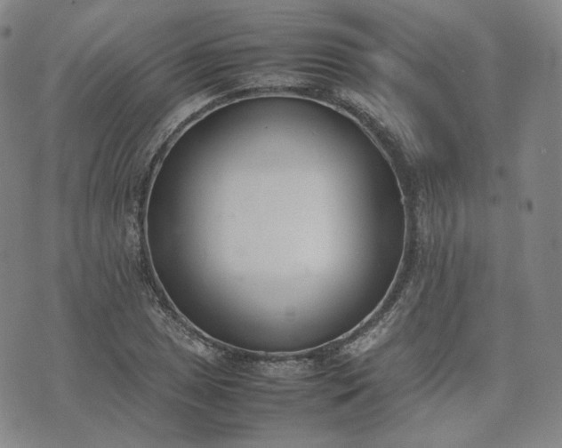 X0000074311025200609011507