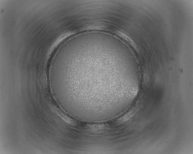 X0000074311027200609011507