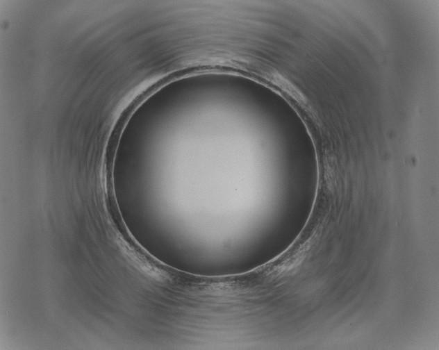 X0000074311028200609011507